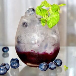 Blueberry-Mint Cocktail