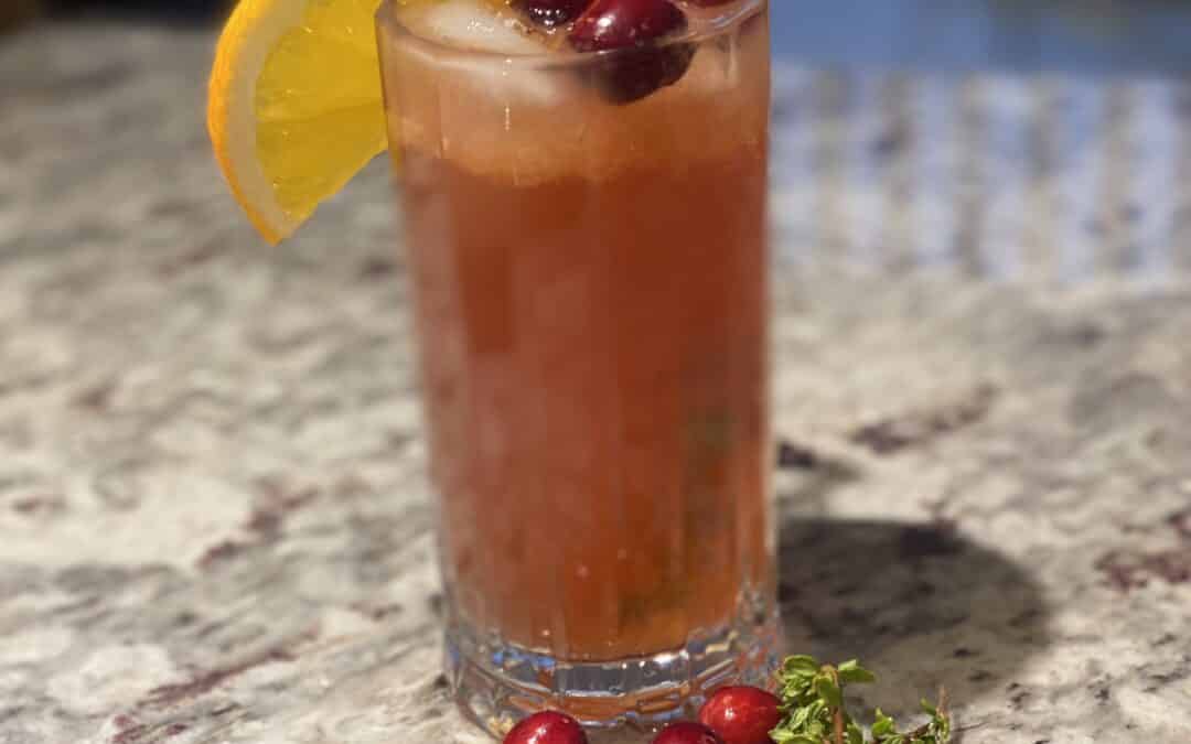 Cranberry Gin & Tonic